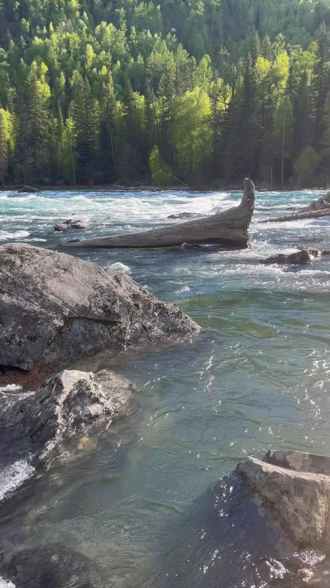 不要害怕荒废时间和生命 大部分人即使工作，其实也就那样 大部分都是低水...