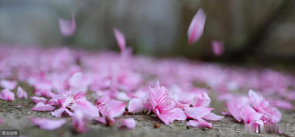 别把时间都花在后悔上，海上永远会有另一道浪等着你。——《重返世界尽头的咖啡馆》#