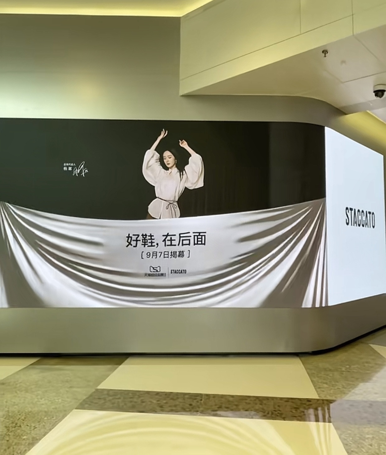思加图还是太有实力了每次拍新广 必铺地广铺地广铺铺铺，铺到厌倦[柯基] ​​​
