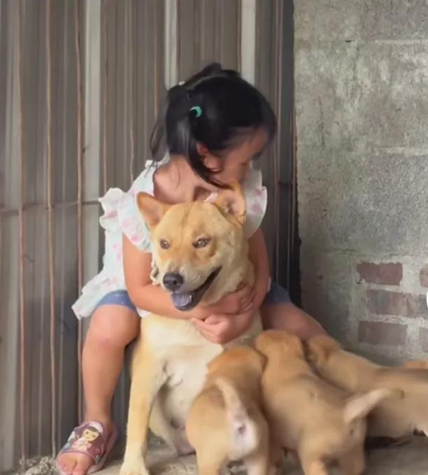 极端倾向恨狗恨猫分子不要老是一肚子仇恨，该放下仇恨，喜迎新年了。

晚饭后，下楼