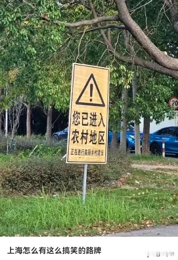 在这里喝蜜雪冰城不会被防御塔打[大笑]上海