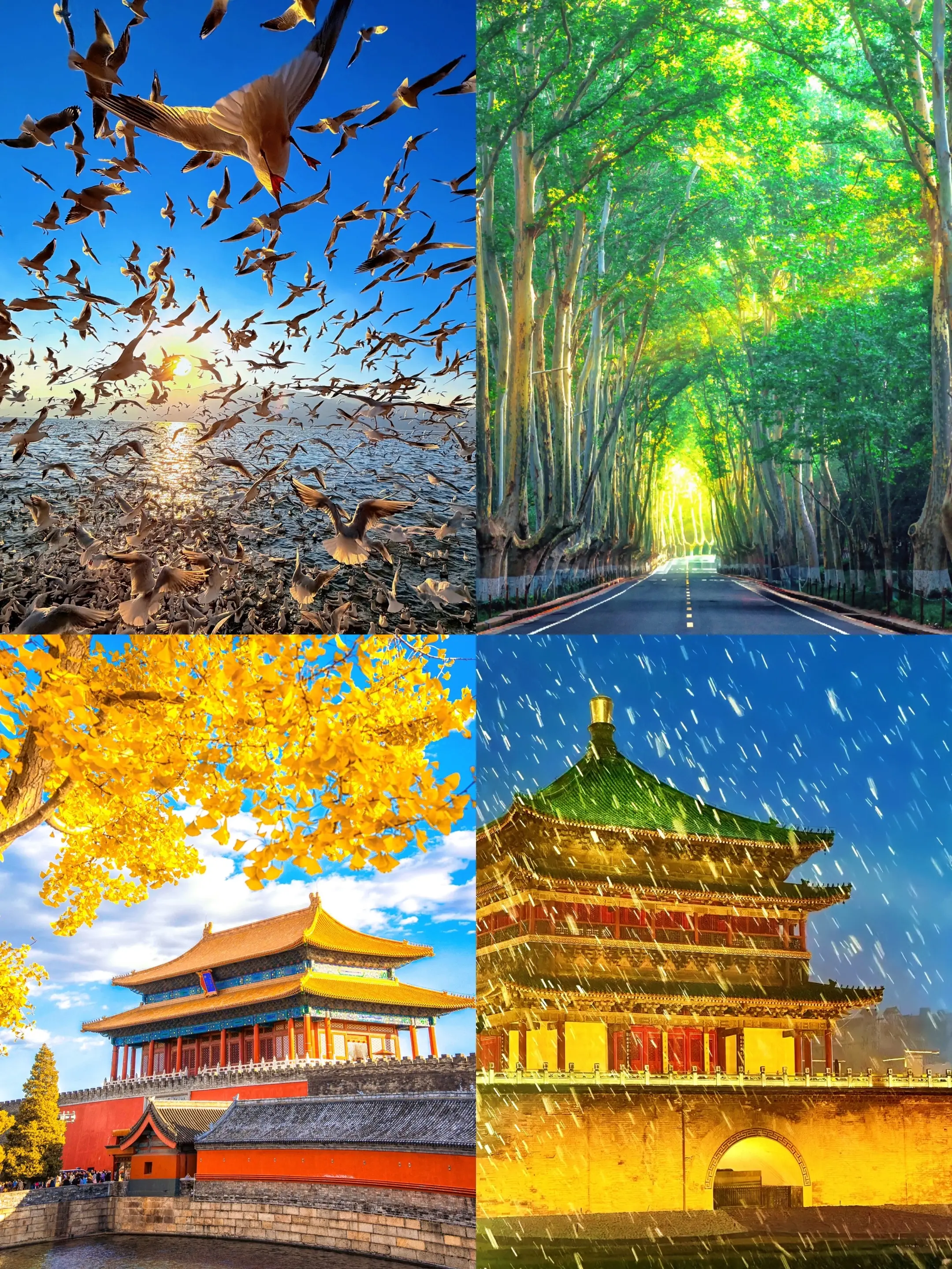 此生四季必去的四座城市