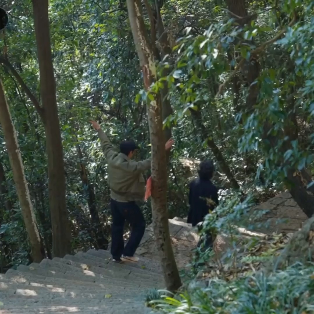 18.0『8907』一颗小顺水草～～一边爬山一边伸出两个小树杈飘摇！🌱🌱🌱