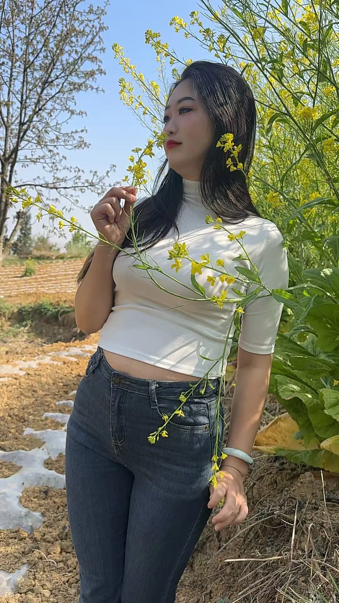 风情万种的油菜花 感情 紧身牛仔裤