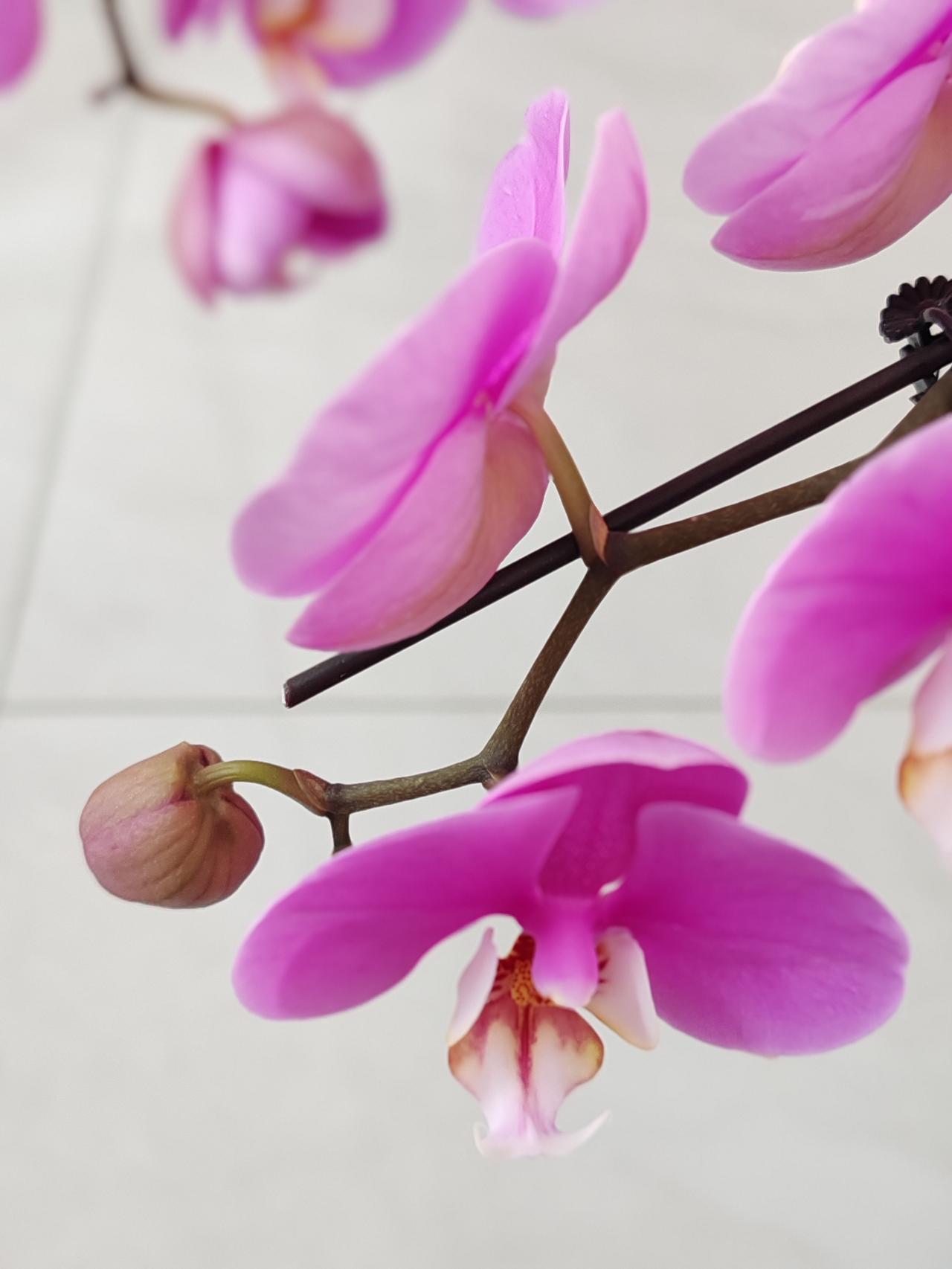 人属于社会，事也是社会之事。在当今世界，不与人打交道实属不易。若想特立独行，就得