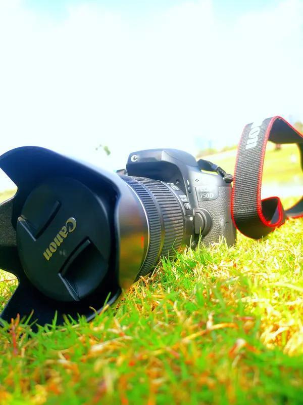 春天拍照的绝佳去处数不胜数！公园无疑是首选。城市中的大型公园内，桃花、杏花、樱花