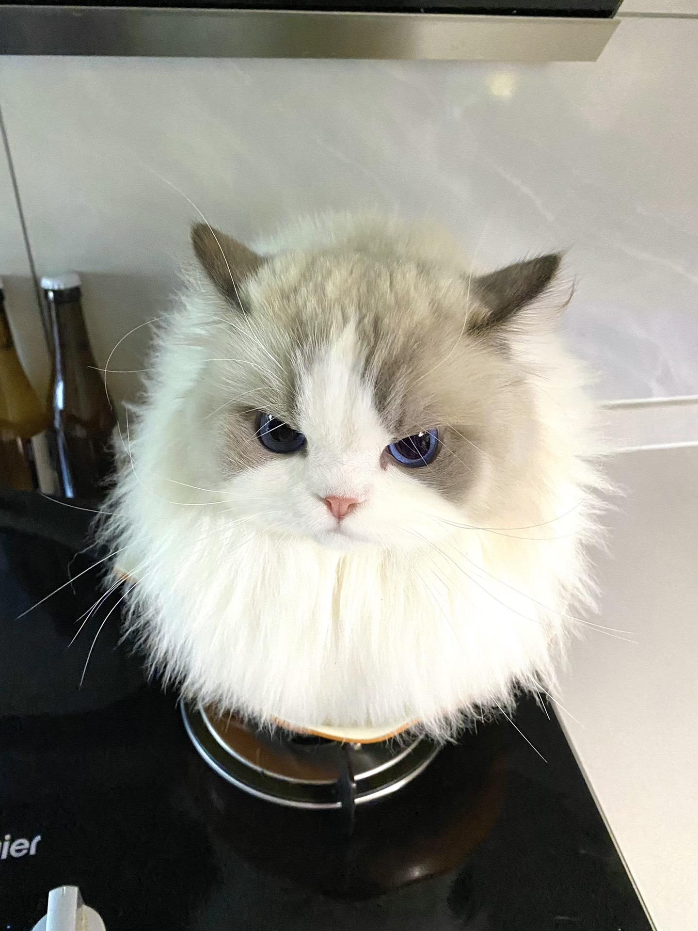 孩子懂事了 知道拿自己当下酒菜了。