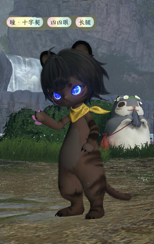 凶凶眼最适合黑小帅-瑶光找亲家