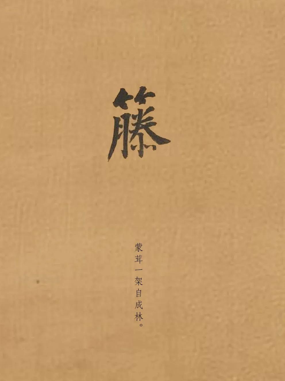 苏州拙政园的文藤是不是文征明手植的，其实很难说。

在传说里，“文藤”是嘉靖十一