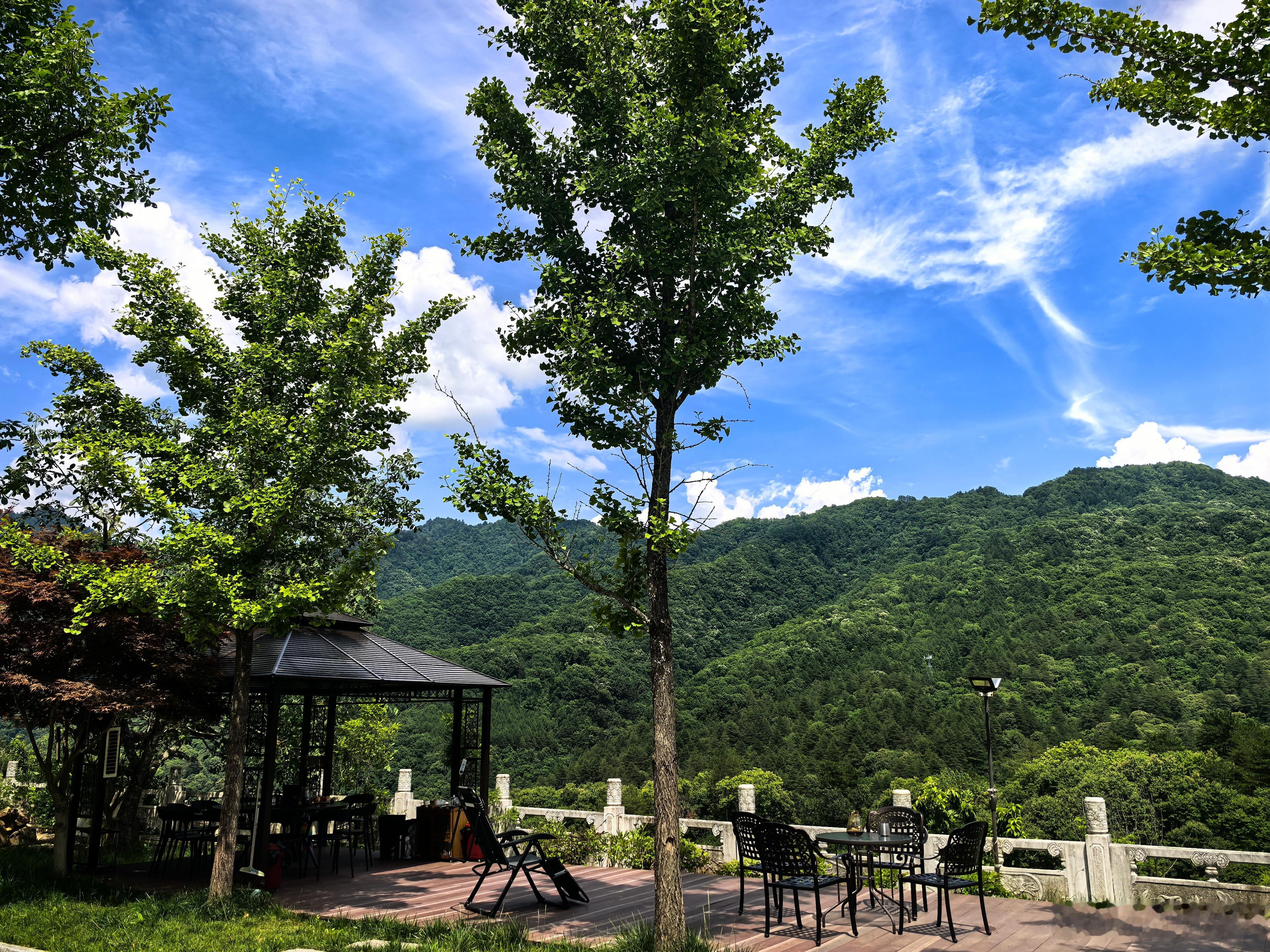山里这会穿短袖都有点冷。 