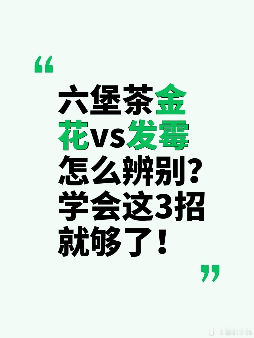 六堡金花VS发霉怎么分辨？学会这3招就够了平常看到存放年份久远的六堡茶长满“黄点