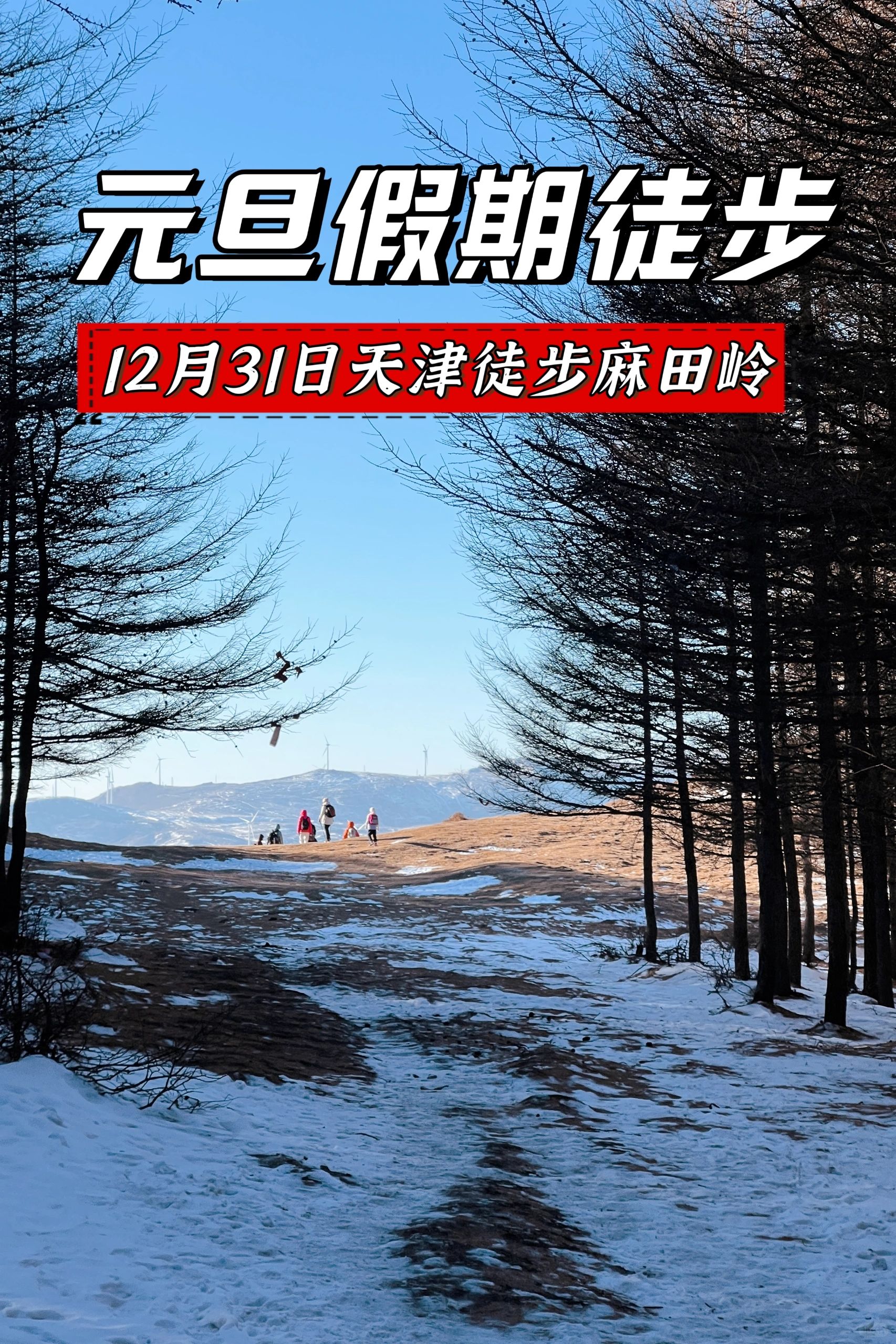 太原始森林了！元旦假期徒步麻田岭