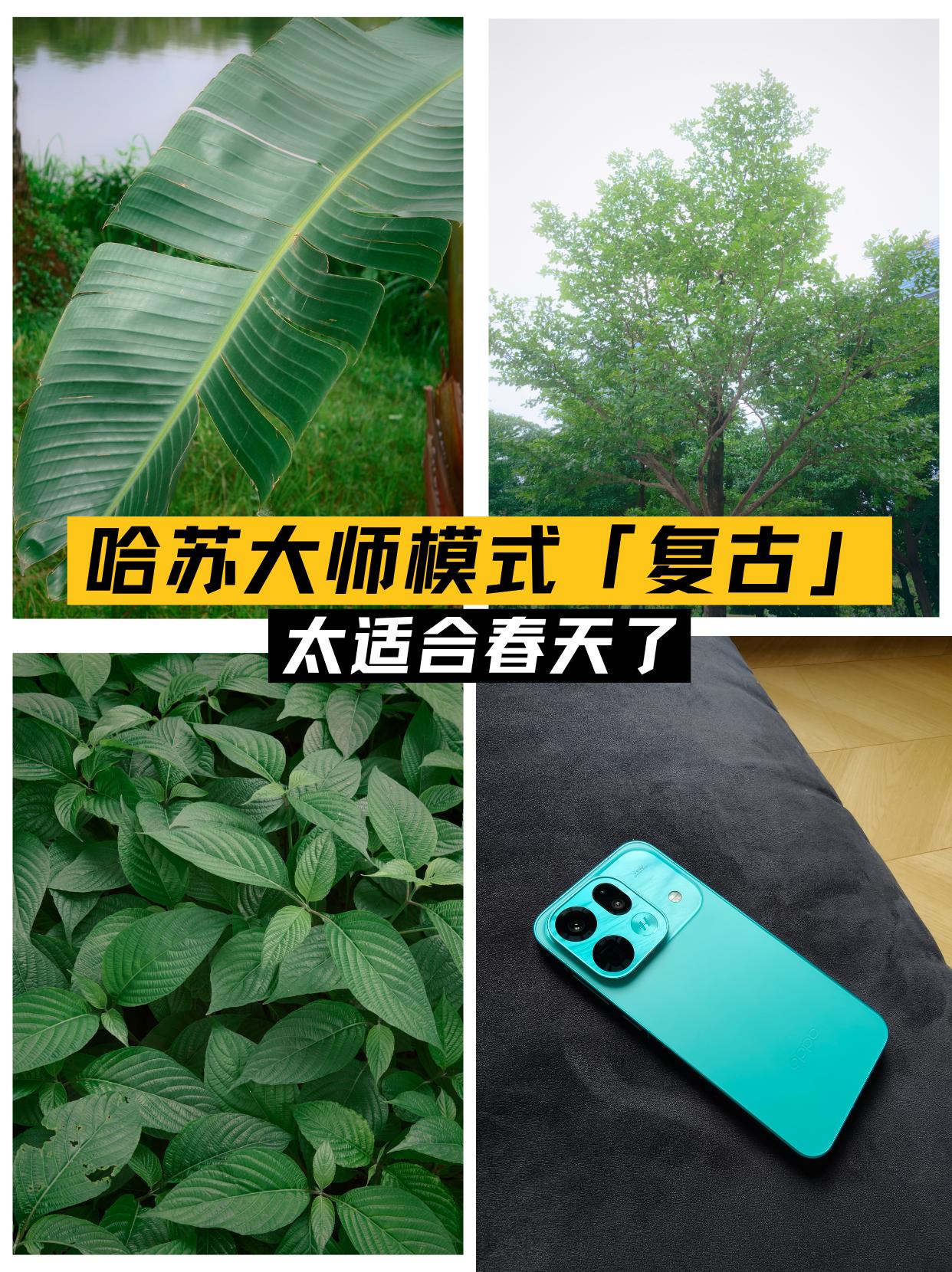 哈苏大师模式 + 复古滤镜，太适合春天了
毕业季终于狠心换了新手机
OPPO F