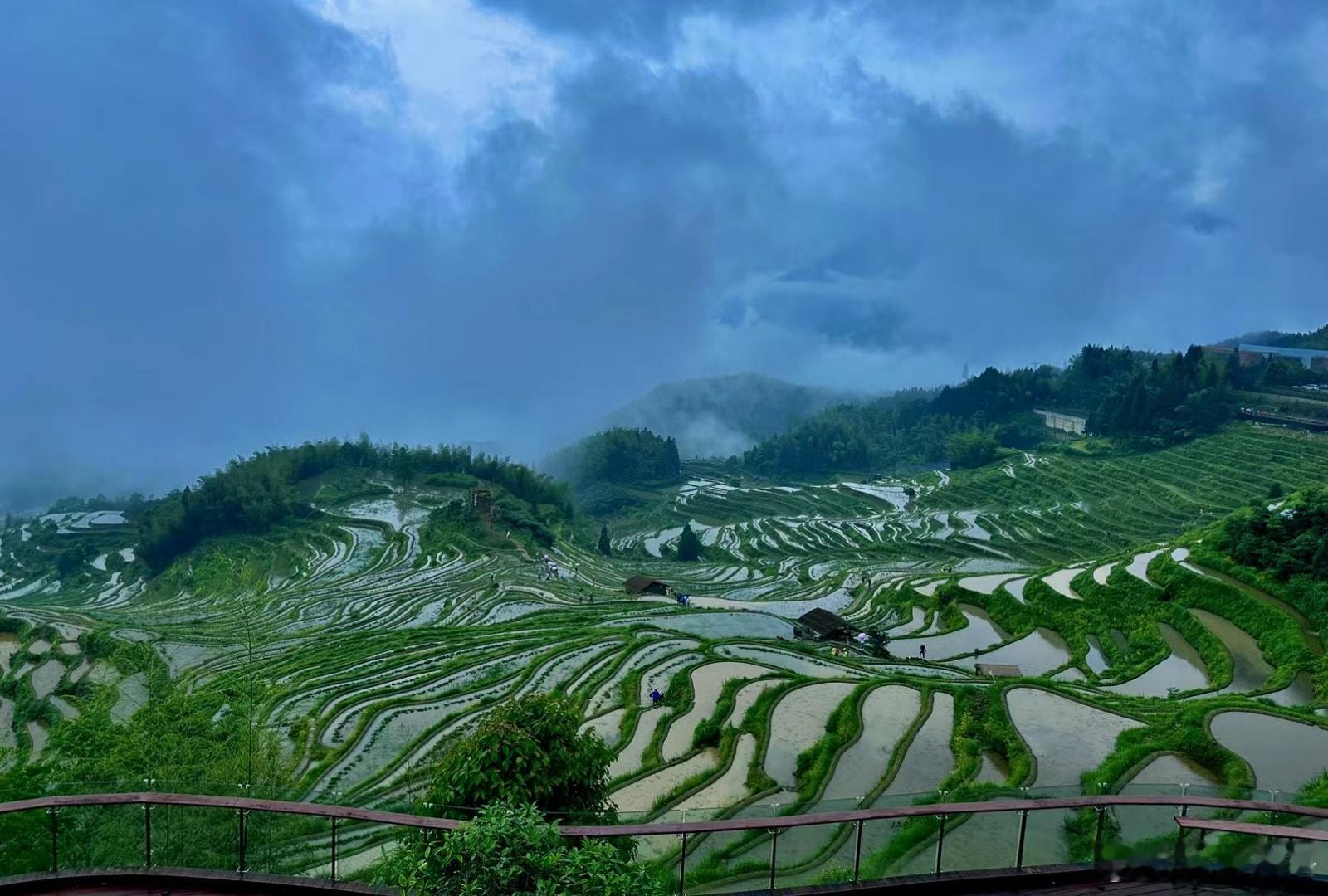 今日份梯田，很治愈!带上相机一起出发吧 ​​​