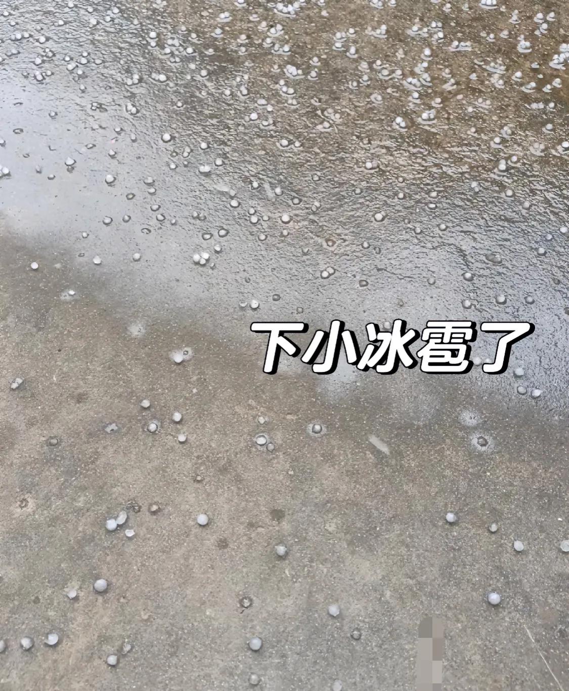 是惊喜是惊吓  #热门# #汕尾下冰雹# #广东神奇的天气# #普宁小助手#