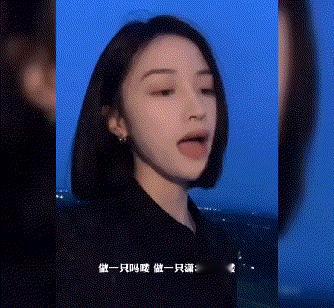 网友:吗喽是啥意思？