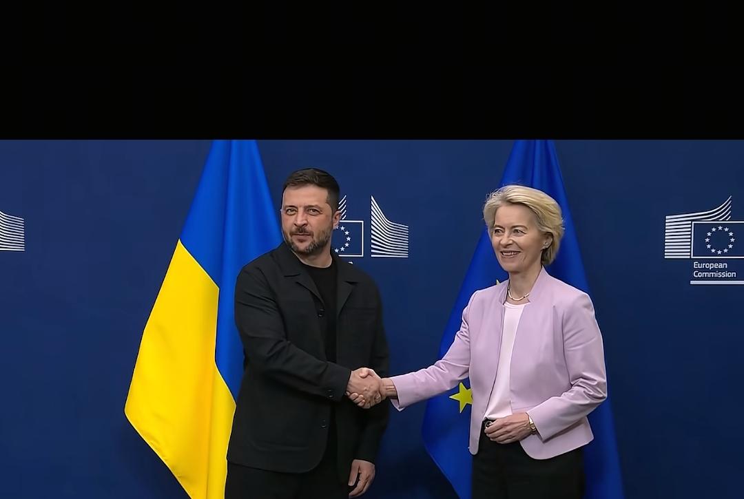 冯德莱恩怒斥她的祖国德国″违背欧洲共识，简直疯了″。
什么事让这位欧盟委员会主席