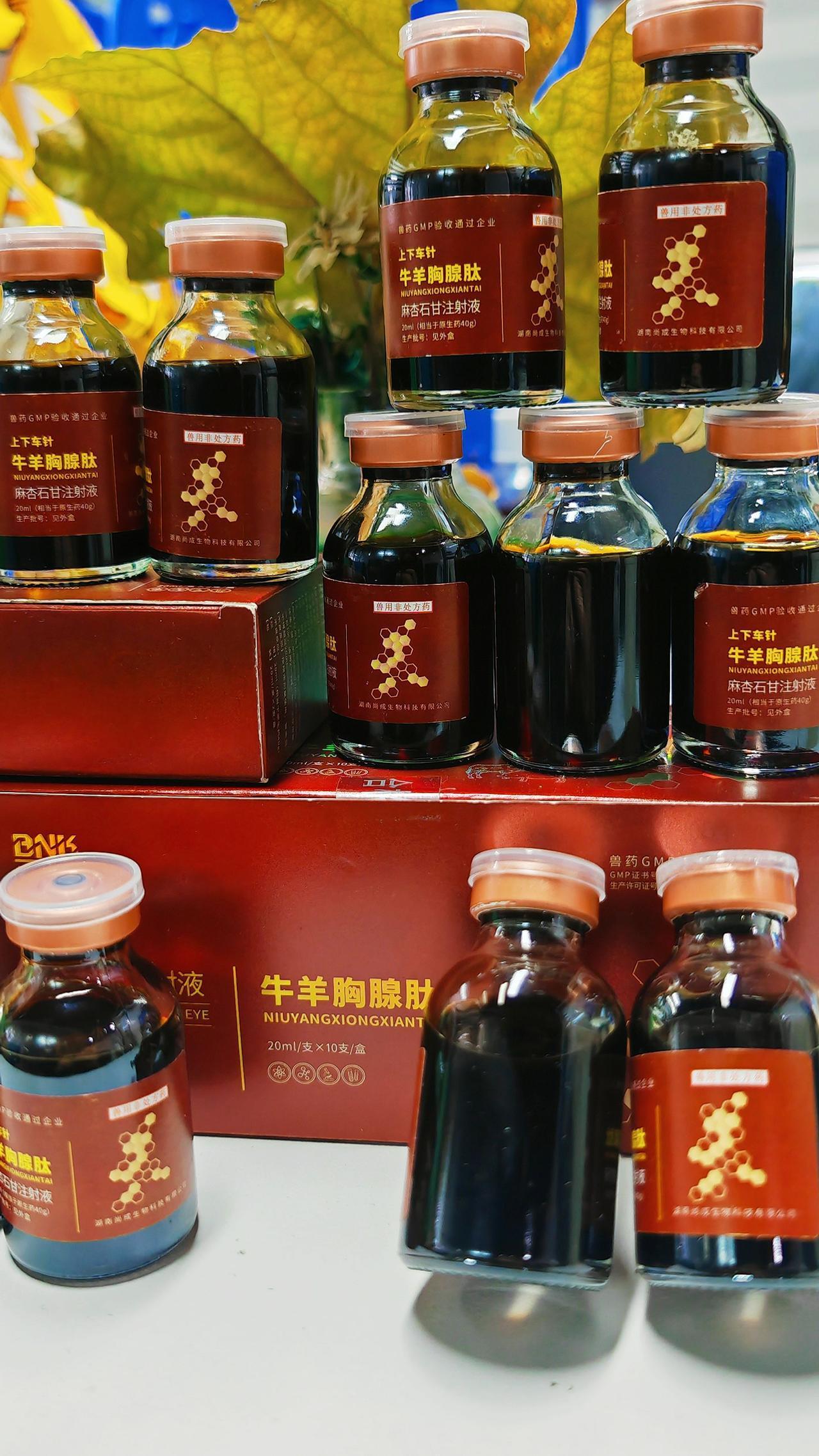 养羊人 农村养羊