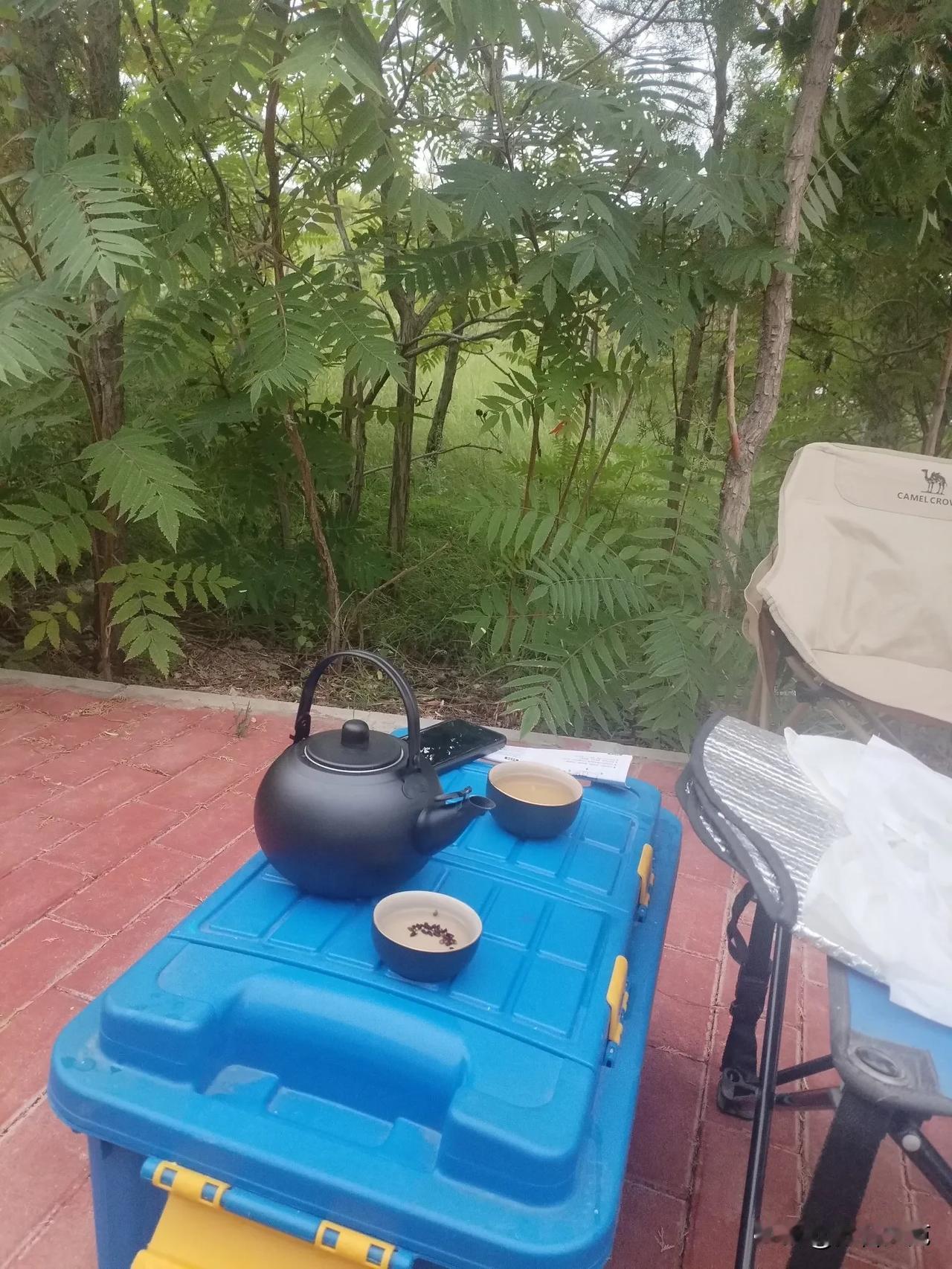 哪有什么不期而遇
仰躺在万马齐喑的乌云之下
巨大的洪流避开一块不知天地高的顽石