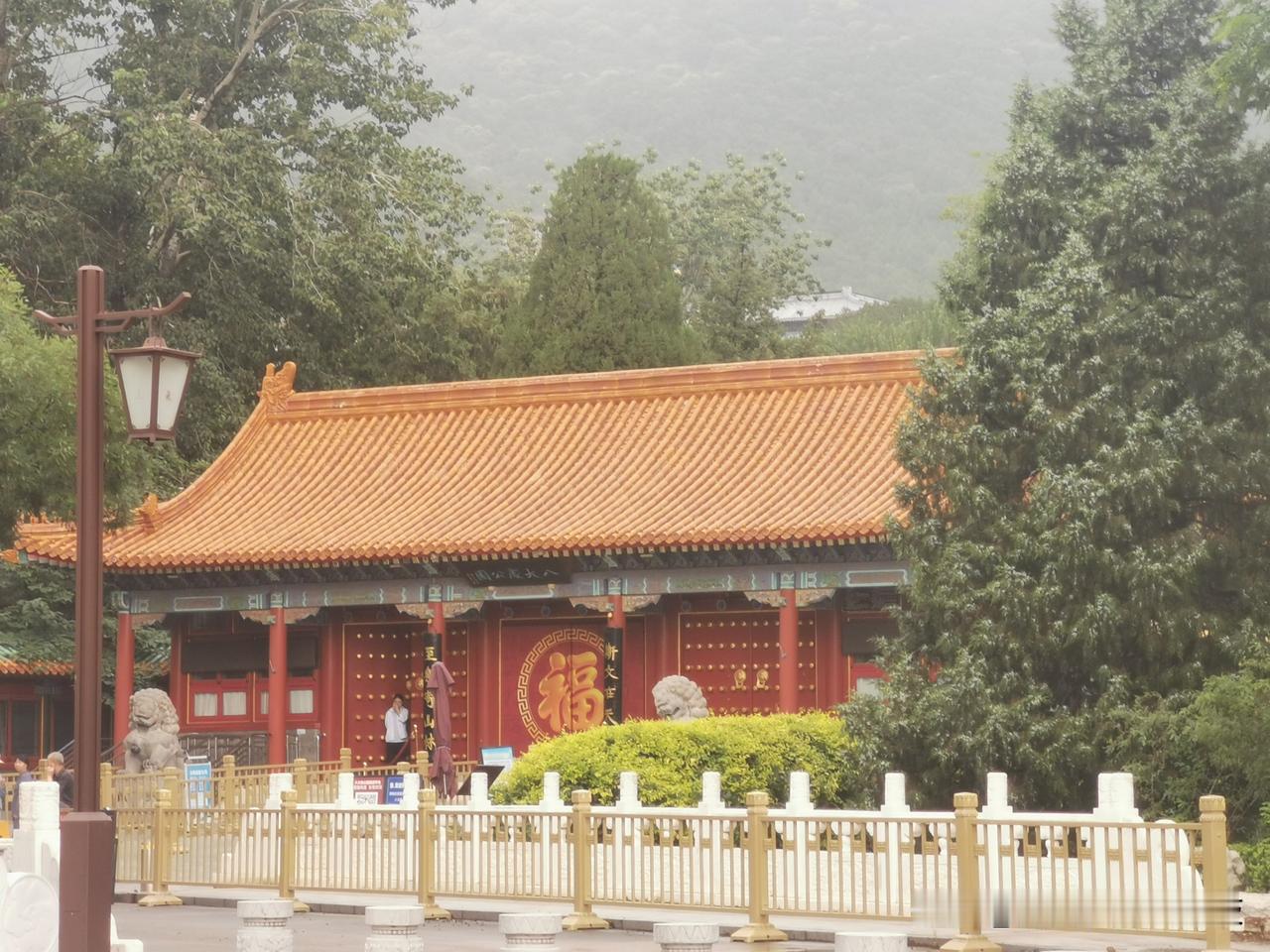 昨夜狂风暴雨袭石景山，晨起见清障温情，读懂病树前头万木春

昨夜十点，石景山突遇