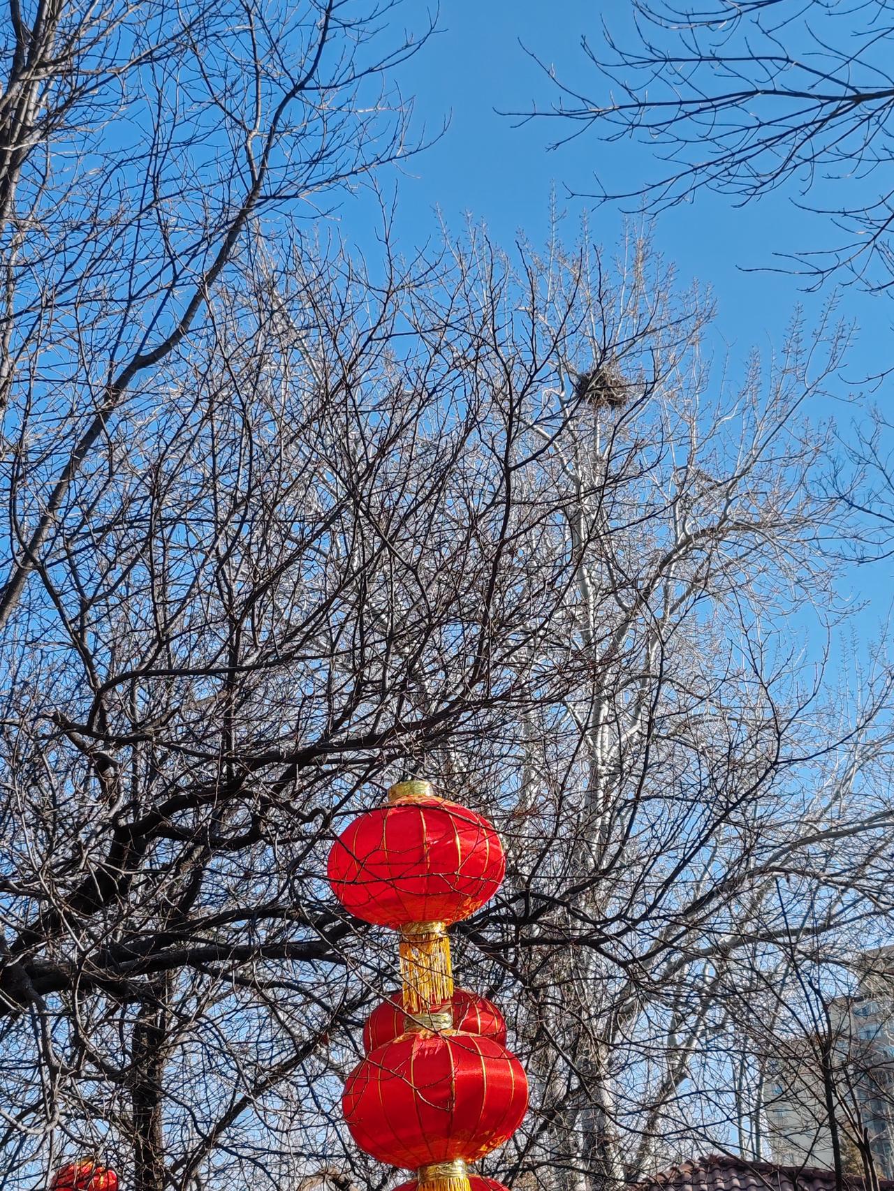 晒图笔记大赛花园之景。