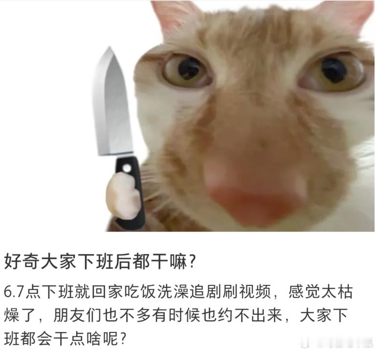 好奇大家下班儿以后都干嘛了？ ​​​