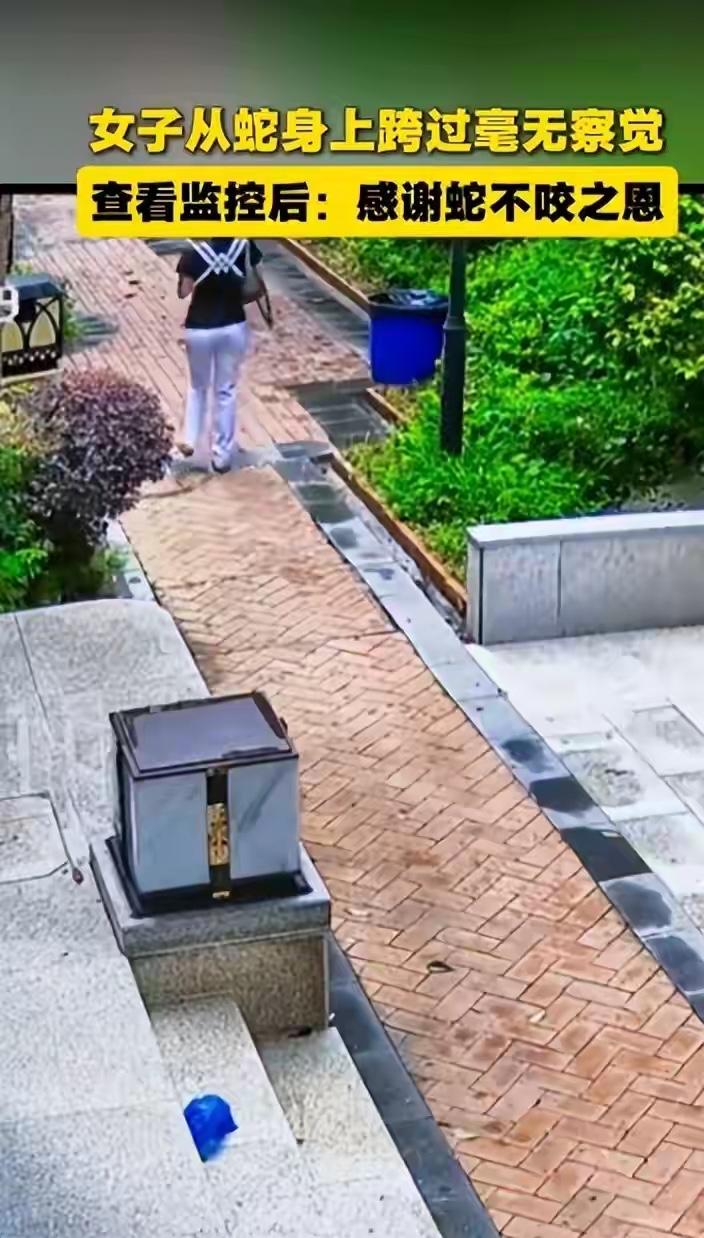 近日，湖南一女子从蛇身上跨过毫无察觉，事后查看监控，“感谢蛇不咬之恩，以后走路肯