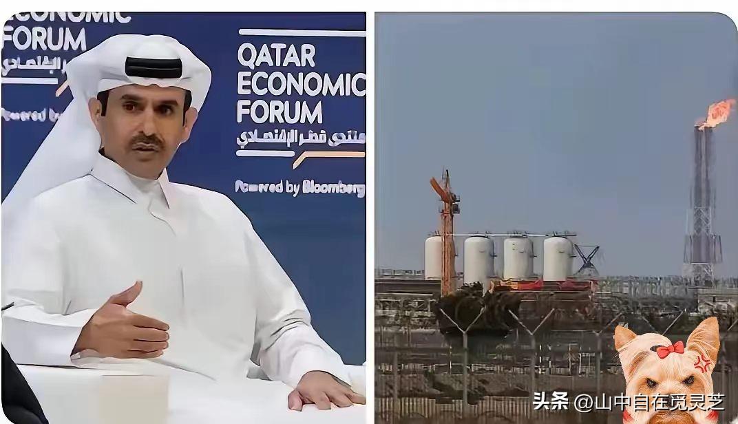 卡塔尔宣布：
3月19日，路透社独家报道：卡塔尔正式宣布，对意大利、比利时、韩国