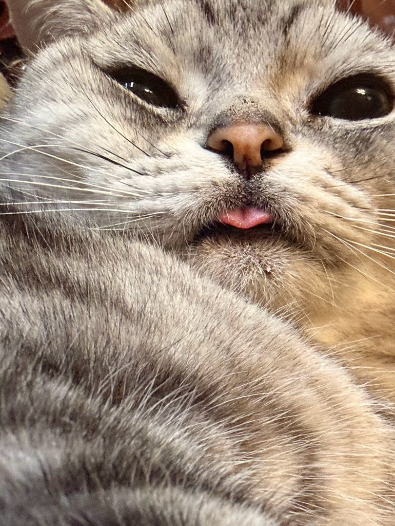 略~ 