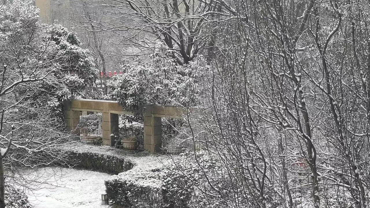 冬日雪景，宁静的庭院，仿佛置身于童话世界。