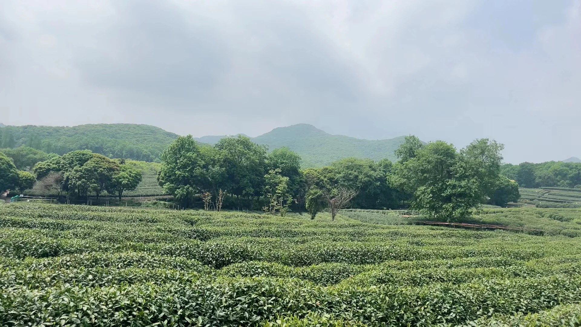 纽约铜出现逼空情况，其相对于伦铜的溢价达到了前所未有的高度。 Angl...