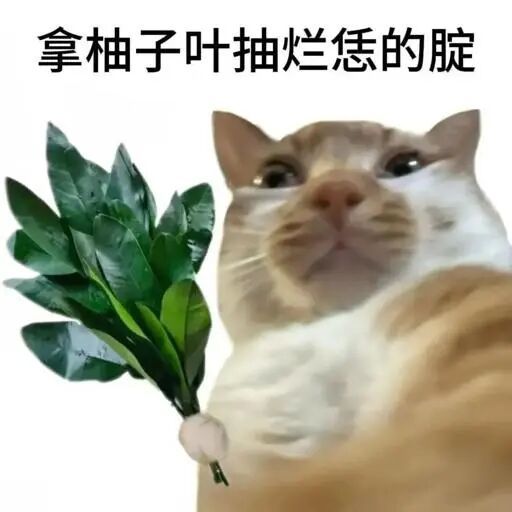 生活手记生活手记[超话]早早早ﾉ☀ ​​​