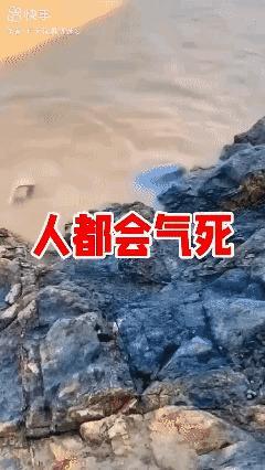 谁知道它意味着啥？[捂脸]