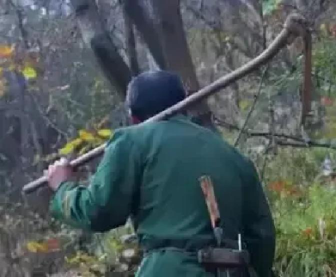 湖北的一个男子常年以捕蛇为生，一辈子杀蛇无数，意外去世之后，他的墓穴里，竟出现了