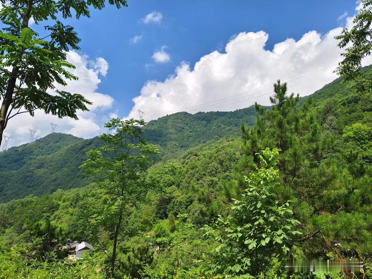 青山绿水间，悠然见南山。