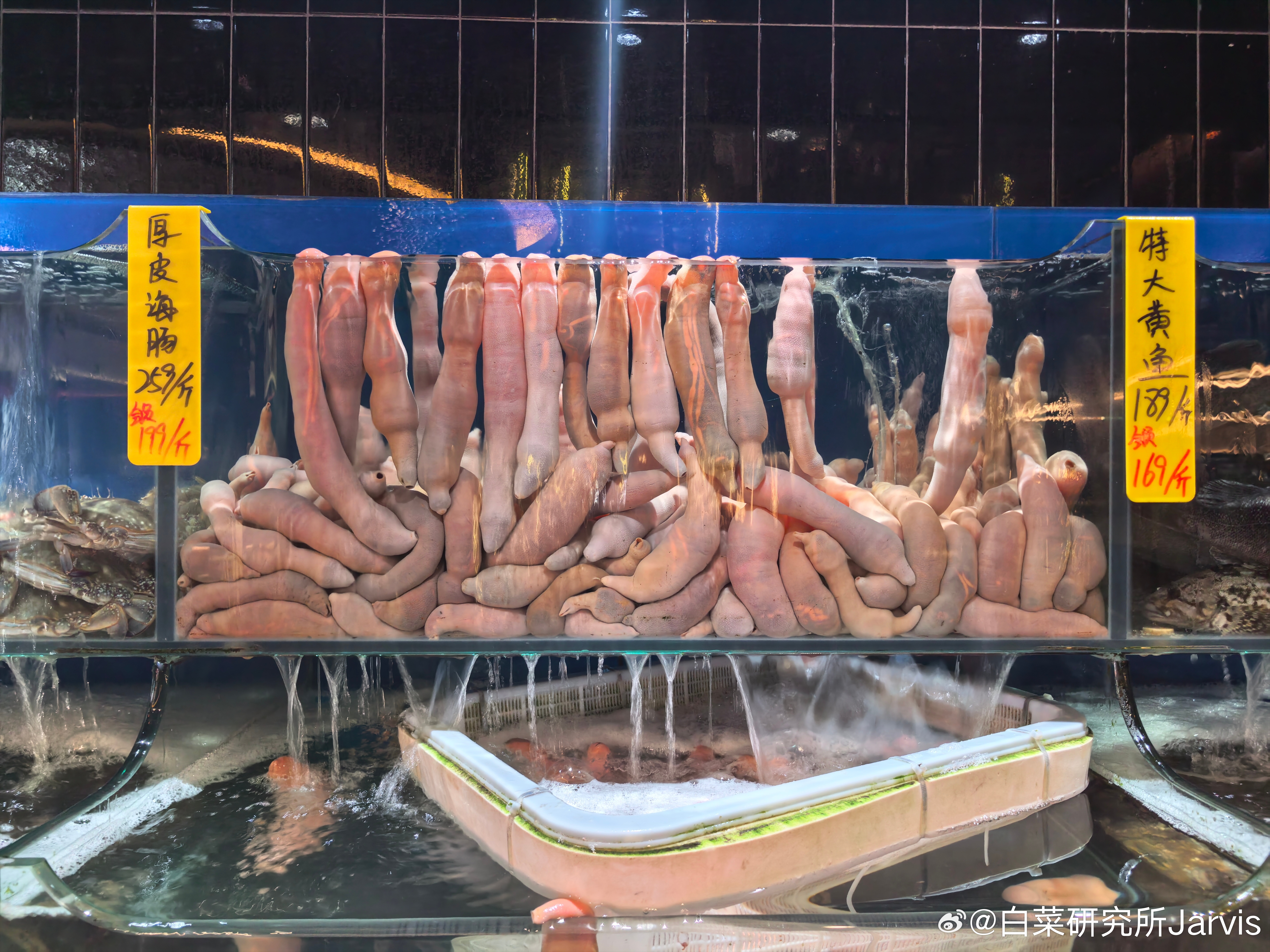 这顿先不吃，晚上海鲜烧烤高低来两根 大连·美丽园海鲜涮肉(佳兆业广场店)