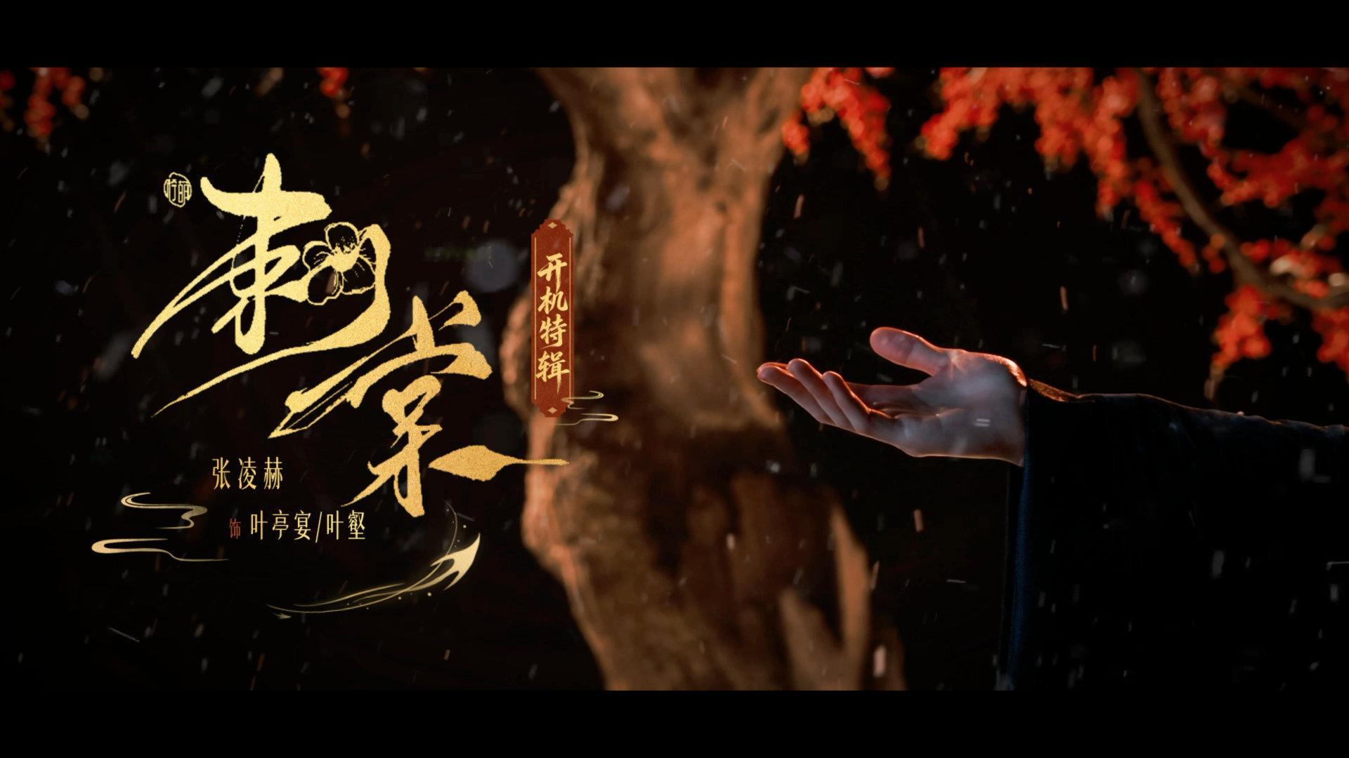 张凌赫的刺棠开机vlog张凌赫开机记录张凌赫开机记录，张凌赫的刺棠开机vlog，