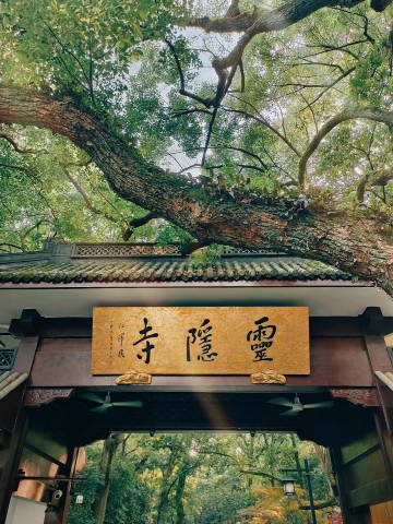 刷到灵隐寺 点赞你想的最近都能实现 🙏 