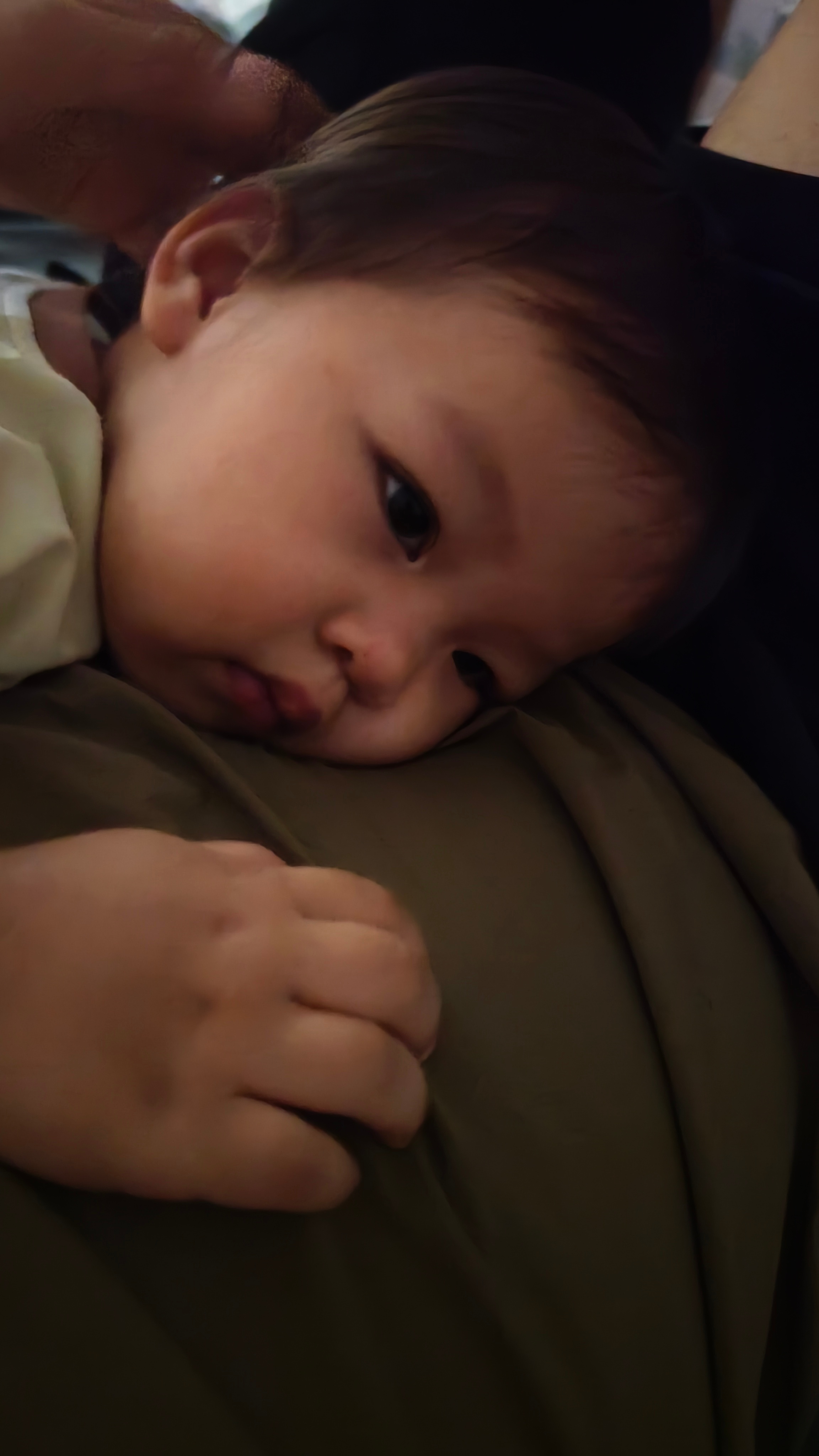 你们撸猫是不是也这样子的？萌娃养成记