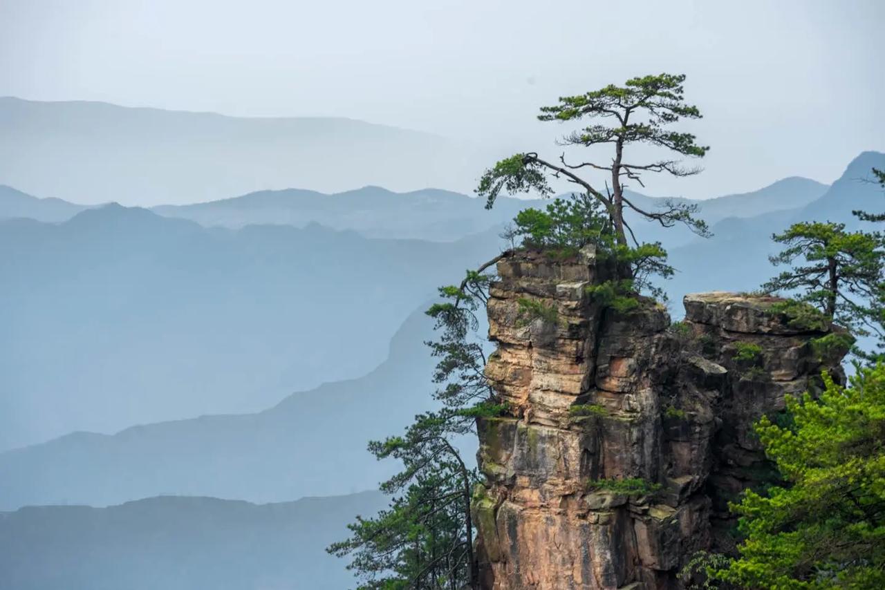 美国政府就如同小区物业，老百姓的诉求很简单，就是别把小区搅乱，至于政府在外面如何
