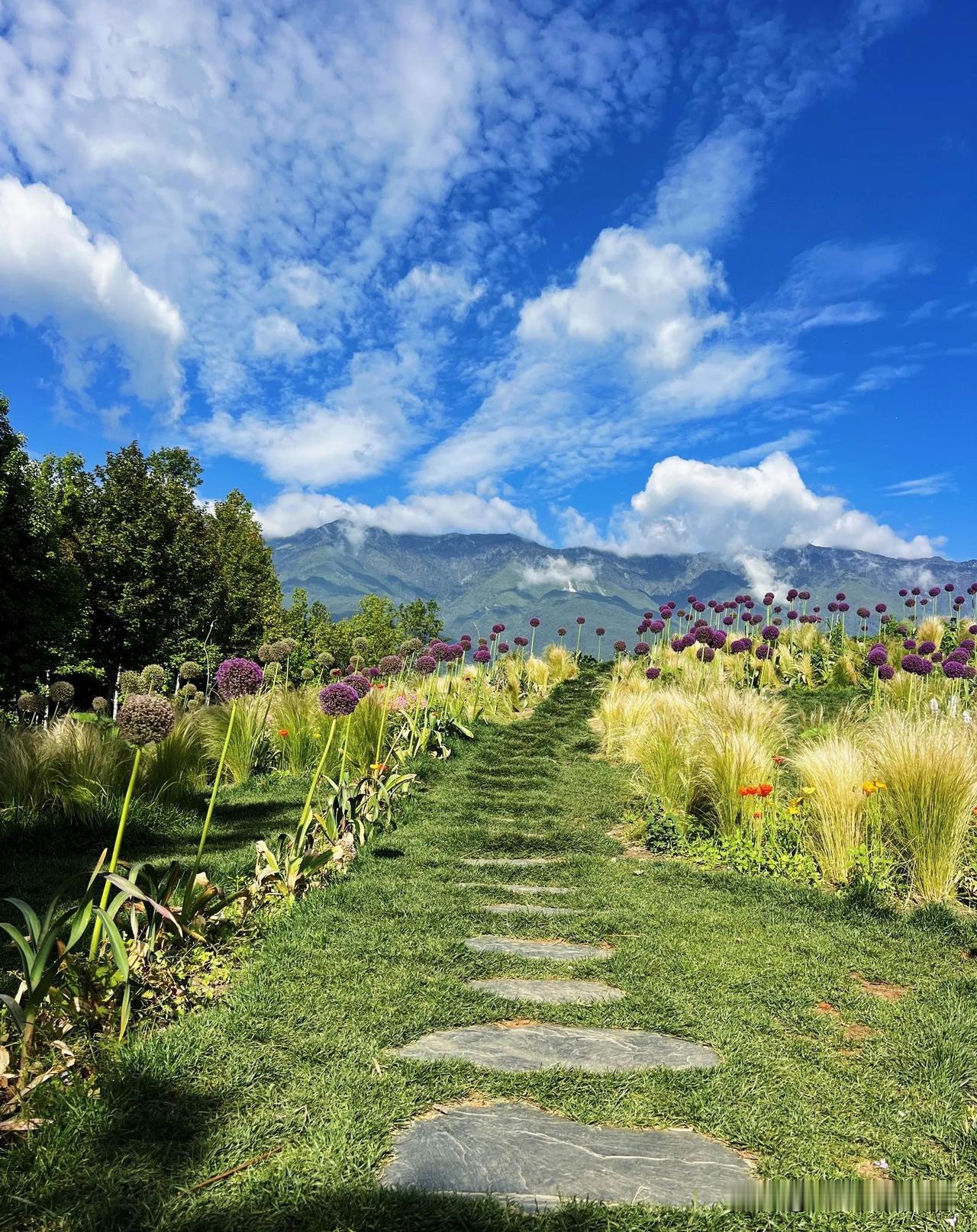 人可以精明，但别使坏
精明是生存的本事
使坏是毁灭的根源
善良带点锋芒
温柔不失