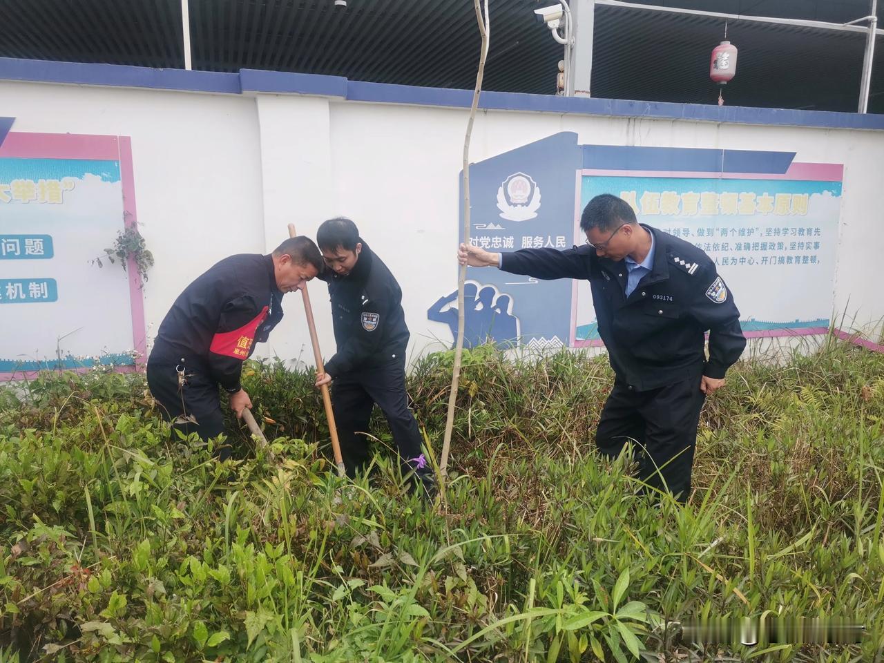 植树造林护生态，忠诚履职保平安——潮汕所开展植树活动
 
春回大地，万物复苏，在