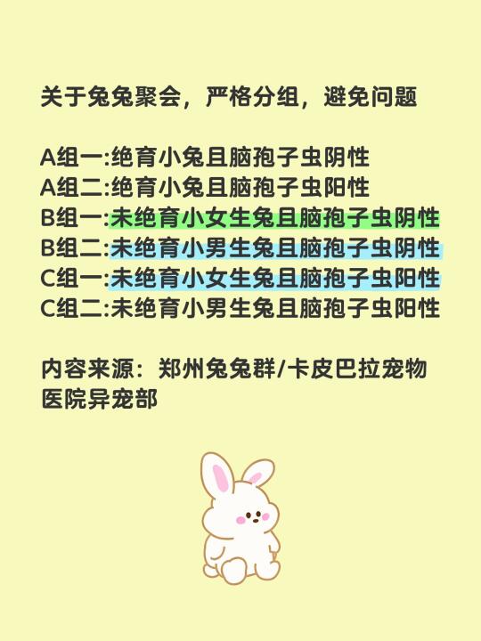 兔兔聚会背后的致命风险！