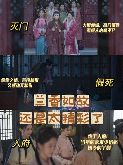 谭松韵刘学义新剧首播反馈兰香如故好看《兰香如故》太上头啦！女导演把情感拍得太细腻