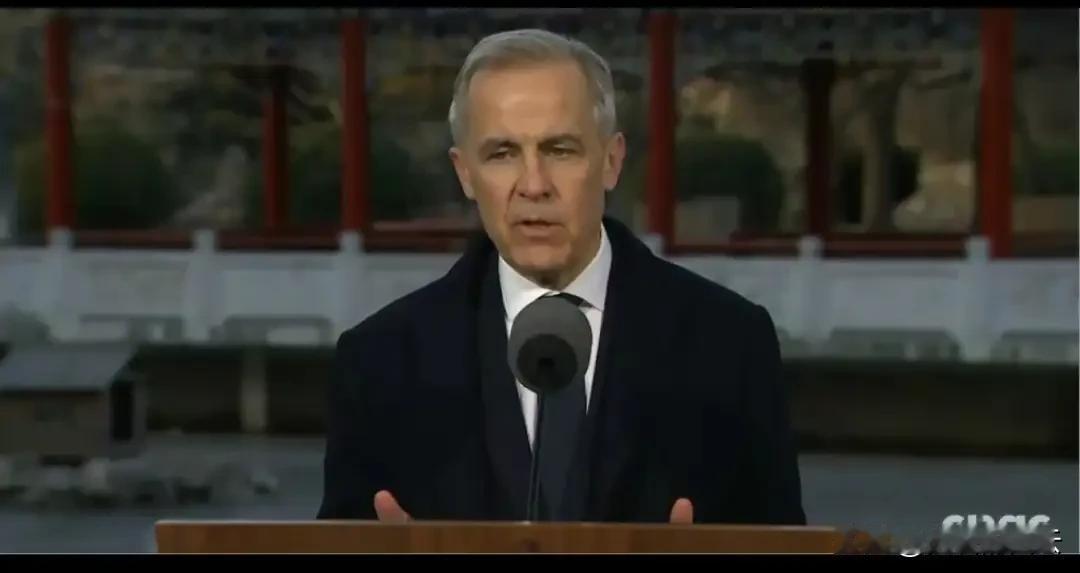 1月17日，加拿大总理卡尼在北京的一场记者会，一句“中国比美国更具有可预测性”，