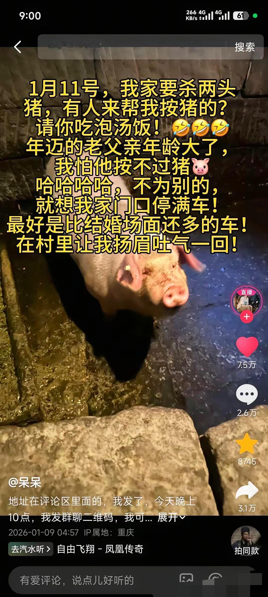 重庆合川杀猪宴太出圈了！博主一句杀猪缺人帮忙管顿饭，竟引来百人奔赴，这份纯粹的热