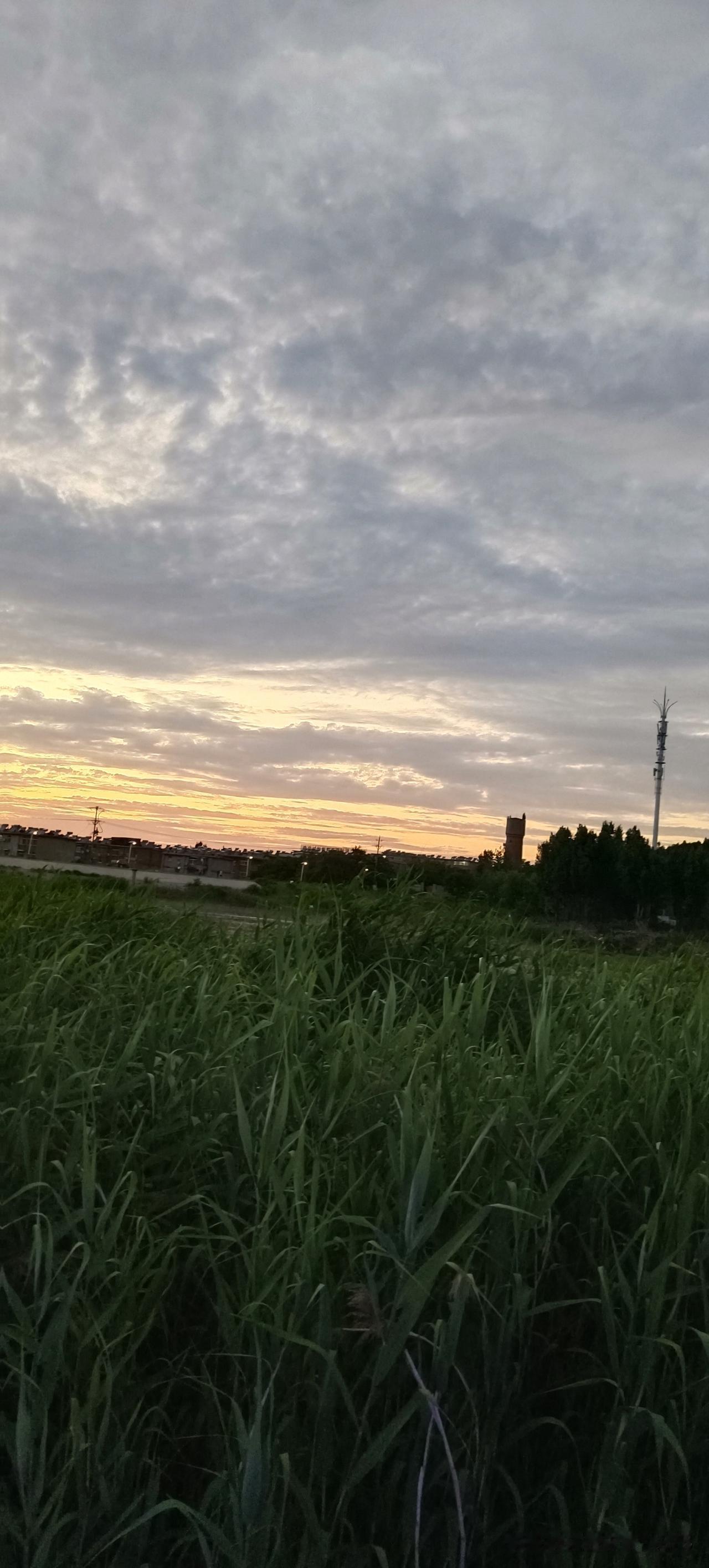 昨天风光无限，今天你可能就命丧黄泉，这就是人生，有什么好争，有什么好抢，有什么好