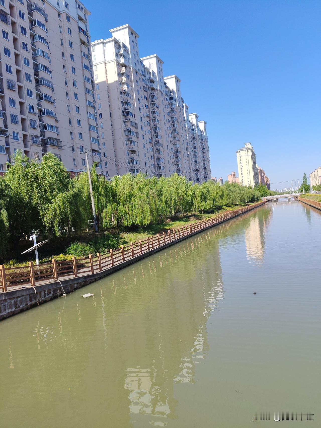 家乡河随拍每天都要经过这条不太宽的河，河水有时清澈，今天浑浊，但能看到楼房的倒影