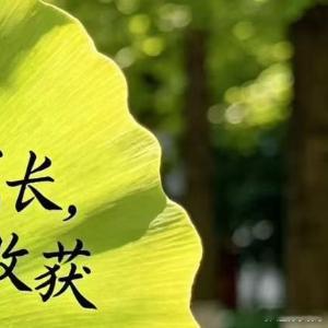 生活手记世间生意万千，最难得是心安。守得住初心，静得下心态，把每一件小事做好，把