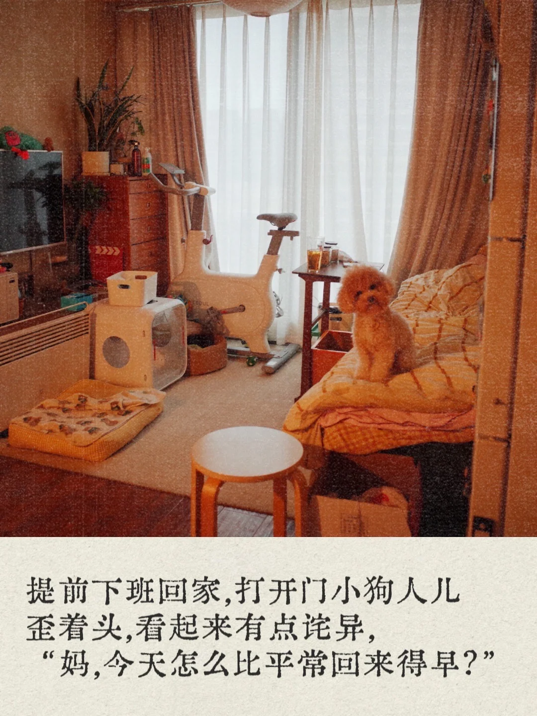 有小狗的人才能秒懂的可爱场面…💡'◡'‎ ᯤ ♡